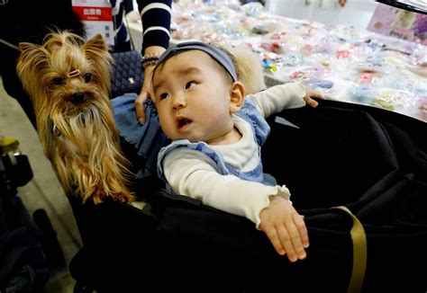 Why East Asia’s stroller brands have started chasing fur babies too ...