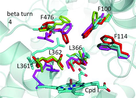 Key residues of the active site of the best identified CYP2C9... | Download Scientific Diagram