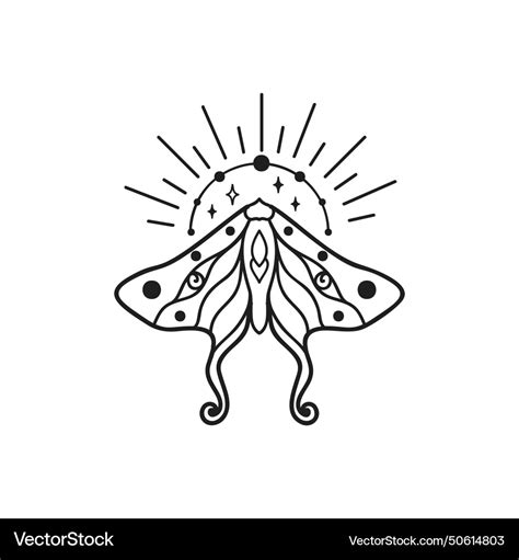 Moth butterfly Royalty Free Vector Image - VectorStock