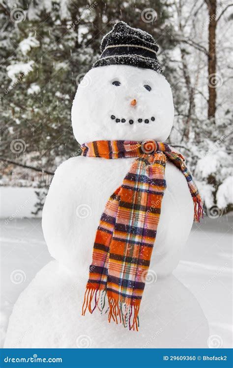 Merry White Snowman with a Scarf and a Hat Stock Photo - Image of ...