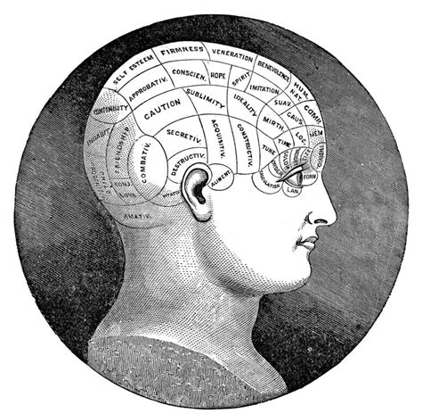 4 Vintage Phrenology Head Diagrams - The Graphics Fairy