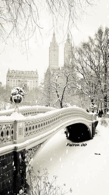 Photo de l'album le 19/11/2016 - Google Photos | Winter scenes, New york city, Beautiful places