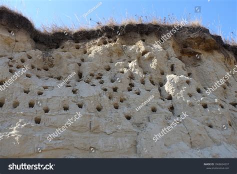 2,551 Sandy burrows Images, Stock Photos & Vectors | Shutterstock