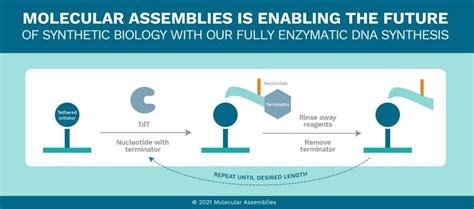 Molecular Assemblies Raised $25.8 Million Series B Financing - StorageNewsletter