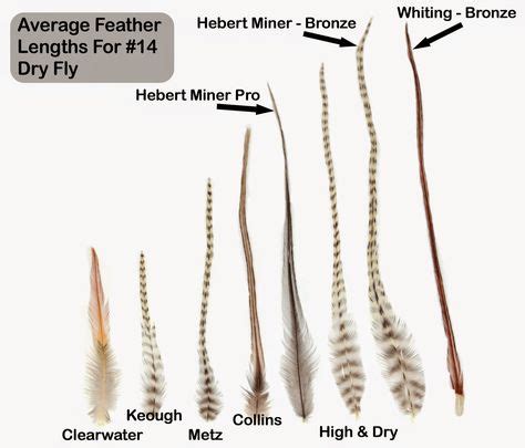 290 Fly Tying Feathers ideas | fly tying, fly tying materials, feather