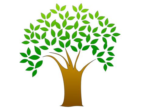 Tree Clipart | Free Stock Photo | Illustration of a tree with leaves | # 15347