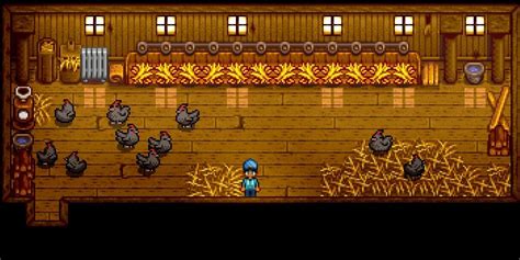 Stardew Valley: How to Get Void Chickens