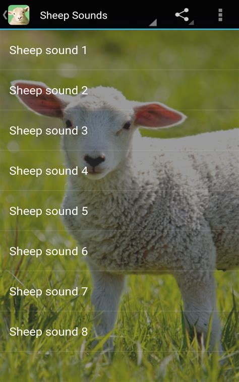 Sheep Sounds: Amazon.es: Appstore para Android