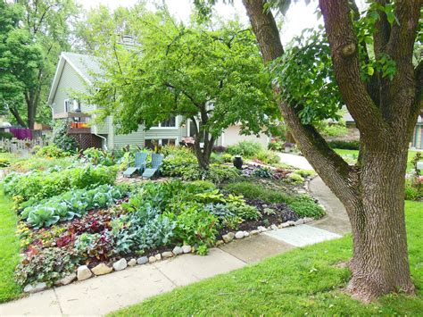 Front yard vegetable gardens | Gardening Forums