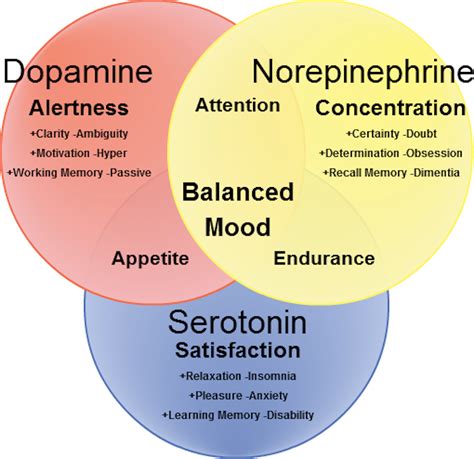 ADHD Brains Pose Challenges, But Condition Treatable: NP Explains | Mirage News