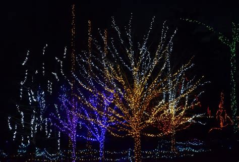 Gardens Aglow: Then & Now | Coastal Maine Botanical Gardens