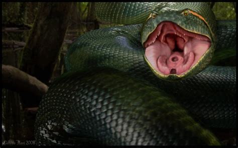 Giant Anaconda | Movie Monster Wiki | Fandom