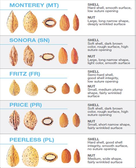 Commodity Trading Corporation