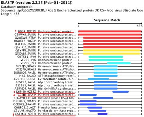 A result set obtained from a BLAST sequence search. Underlined... | Download Scientific Diagram