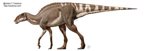 Brachylophosaurus Pictures & Facts - The Dinosaur Database