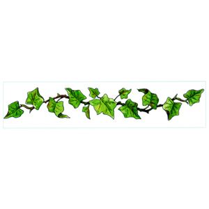 Vines Border Clipart | Free download on ClipArtMag