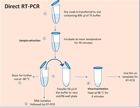 Direct RT-PCR for COVID-19 testing. Schematic representation of the ...