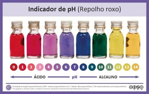 Como funciona o indicador de pH a base de repolho roxo? - Saber Atualizado