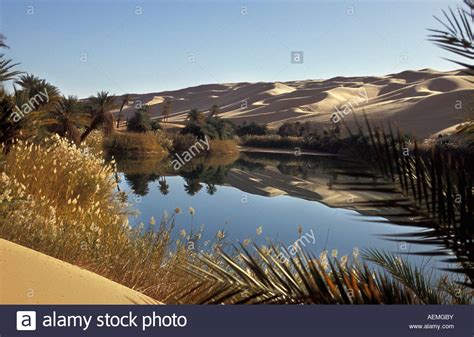 Libya Ubari Sahara Desert Oasis with palm trees and lake Um El Ma Stock ...