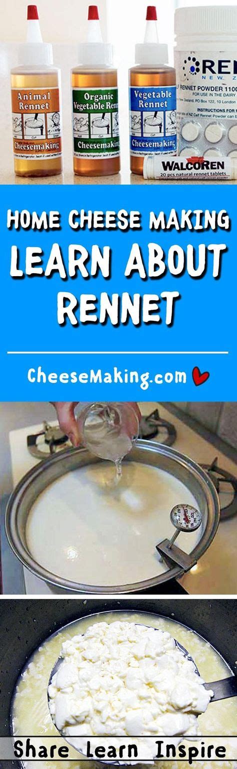 Rennet for Cheese Making FAQ | Cheese making recipes, How to make ...