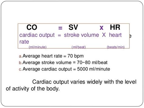 cardiac output