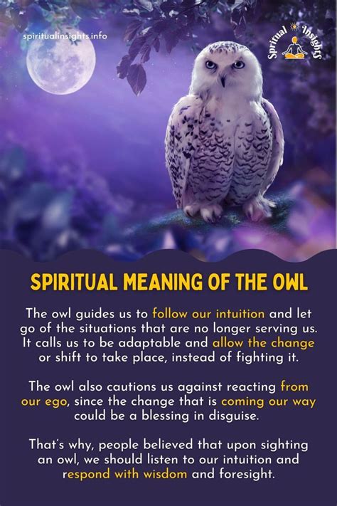 Spiritual Meaning of the Owl | Animal spirit guides, Owl spirit animal ...