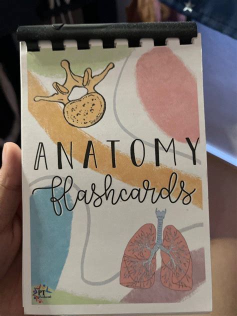 ANATOMY FLASHCARDS, Hobbies & Toys, Books & Magazines, Textbooks on ...