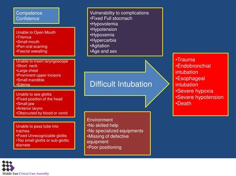 PPT - Airway Complications of Intubation PowerPoint Presentation, free download - ID:1794322