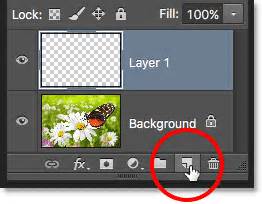 Photoshop Layers Panel Essentials