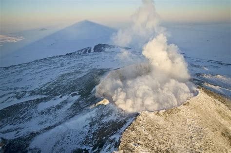 Ice Age: Mystery Solved, Species Survived by Volcanoes – Guardian Liberty Voice