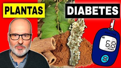 7 PLANTAS para BAJAR el AZÚCAR (DIABETES) de forma NATURAL - YouTube