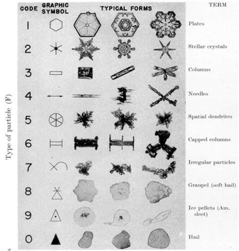 How snowflakes get their shapes | Earth | EarthSky