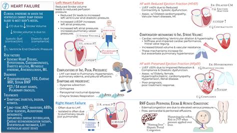 Clinical Pathology: Heart Failure | ditki medical & biological sciences