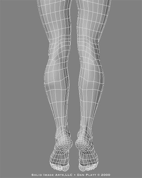 Wireframe legs from the back 3d Model Character, Character Poses, Character Modeling, Character ...
