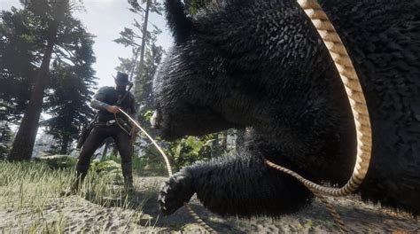 Is this how you get a perfect bear pelt : RDR2