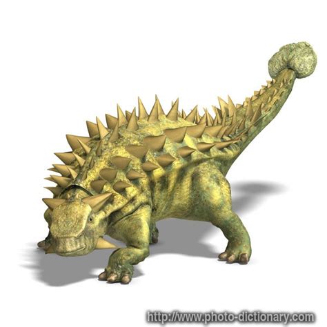 Talarurus Pictures & Facts - The Dinosaur Database