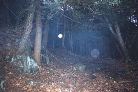 DudleyTown in Cornwall, Connecticut in 2019 | Haunted forest, Most haunted, Spooky places