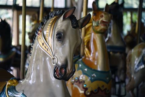 Carousel Horse Free Stock Photo - Public Domain Pictures