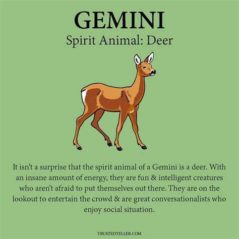 Geminis are quirky when they have their beautiful eyed spirit animal on ...