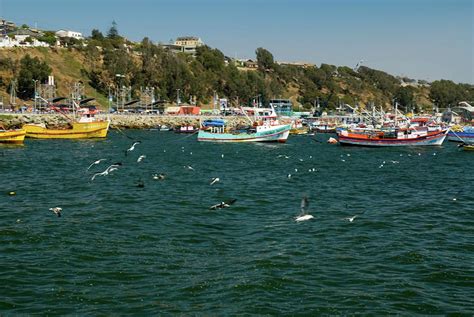 Port Of San Antonio, Chile by Luis Padilla Silva