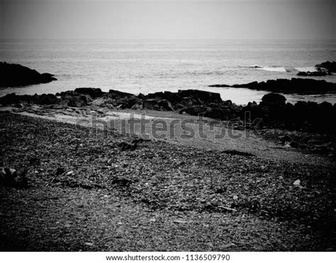 Kennebunkport Maine Beaches Stock Photo (Edit Now) 1136509790