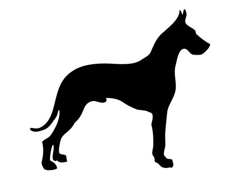 Dog Silhouette Great Dane Free Stock Photo - Public Domain Pictures