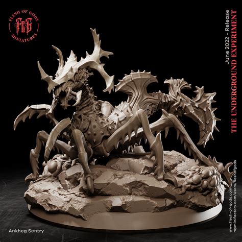 Ankheg Sentry Miniature Large Monstrosity Underground Experiment Flesh ...