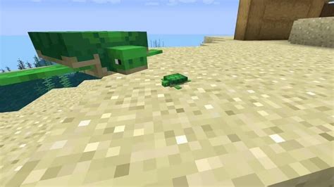 Turtles in Minecraft: How to tame, breed, & get scutes - Charlie INTEL