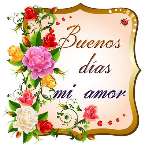 19 Imágenes de Buenos Días Mi Amor para WhatsApp