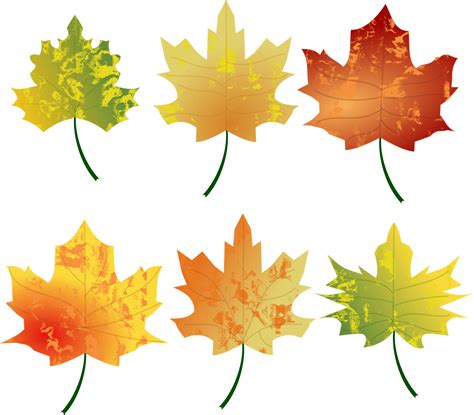 Free photo: Autumn leaves - Autumn, Autumnal, Color - Free Download - Jooinn