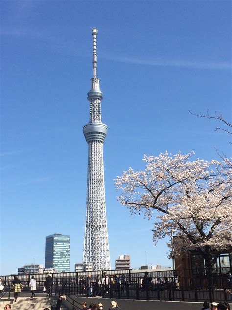 도쿄 스카이트리 방송타워, Tokyo Skytree - 634m : 네이버 블로그