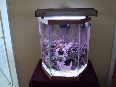 20 gallon hexagon aquarium hood - How To Buy 20 Gallon Long Aquarium – House Decorating Designs ...