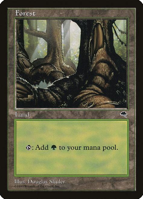 Forest Prices | Magic Tempest | Magic Cards