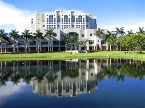 What a beautiful campus we have! Nice pic of the Green Library, courtesy of panoramio.com ...